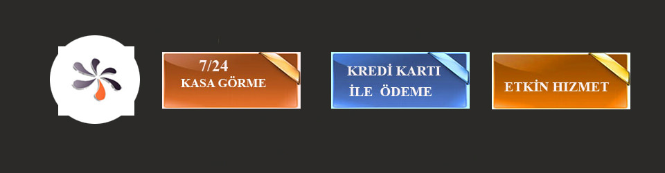  Bavuru Formu (cv)
